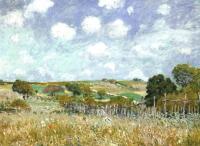 Sisley, Alfred - Meadow